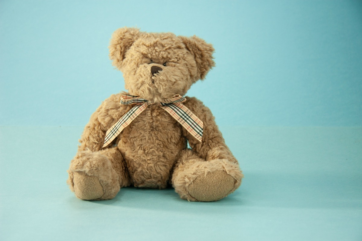 DIY Build-A-Bear: Can You Wash And Clean Your Furry Friend?